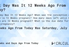 12 Weeks From Today