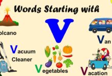 Words With V